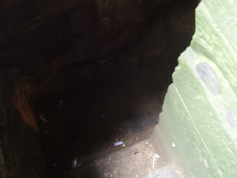 Down into the well room