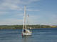 [Seven Roses approaching the dock at Guysborough with Cap'n Jack on the foredeck.]